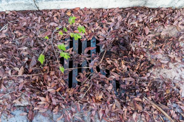 Yard Drain Unclogging in Stow