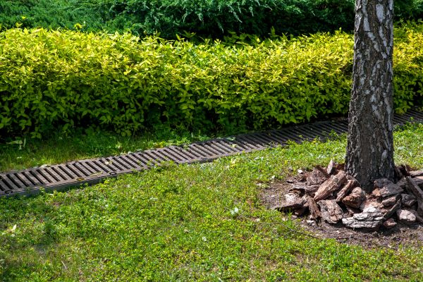 Residential Landscape Drainage in Stow