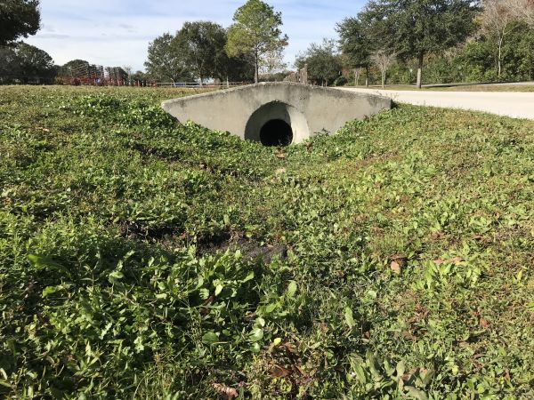 Cost of Swale Drainage Service in Stow
