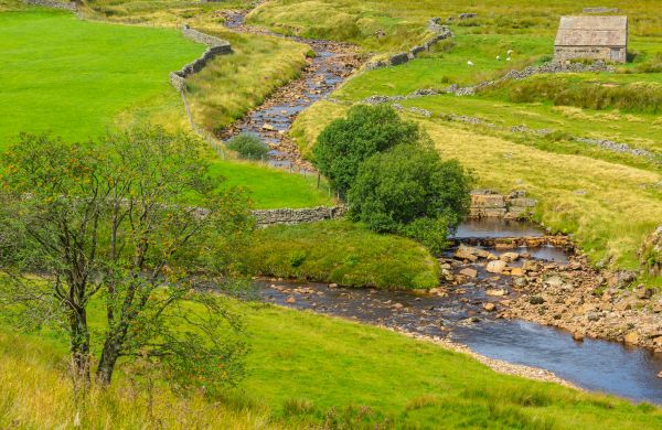 Swale Repair in Stow